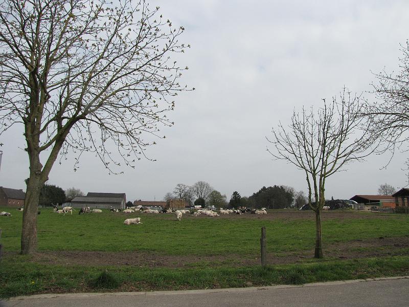 6de Nonkelfransrit 21-4-2013 (225).JPG